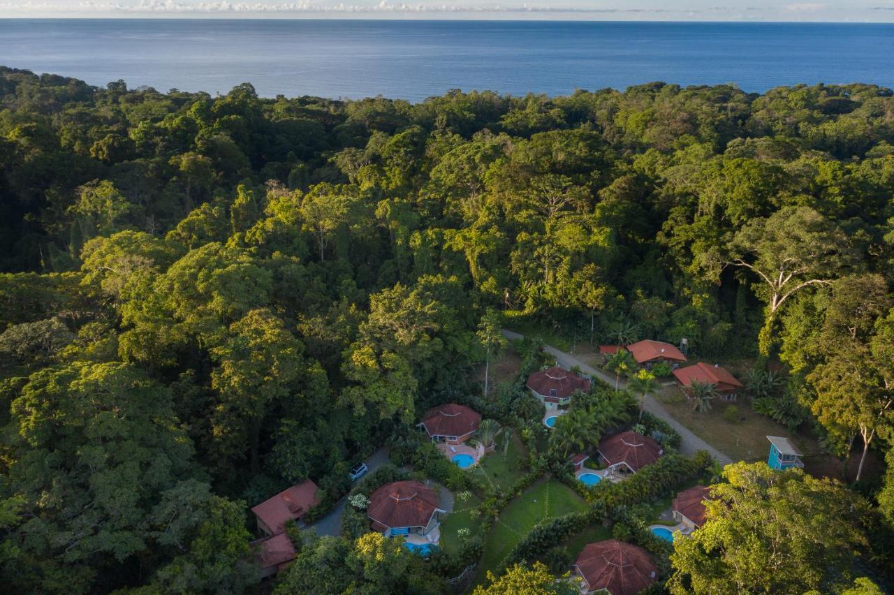Вілла Lomas Del Caribe Puerto Viejo de Talamanca Екстер'єр фото
